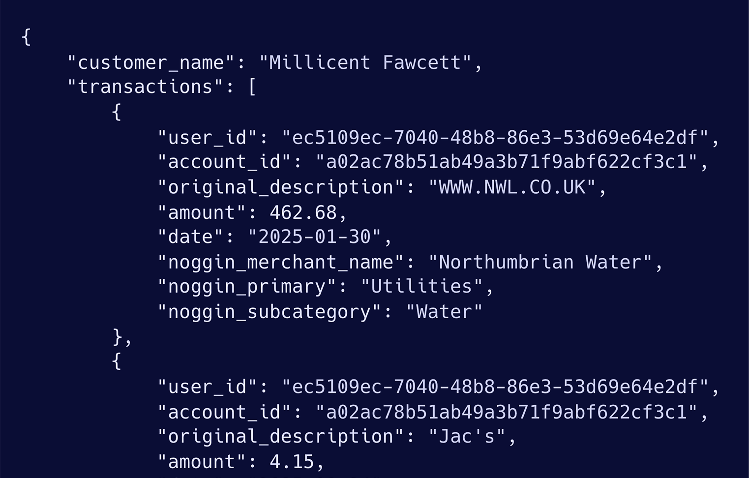 Noggin Categorisation API Response