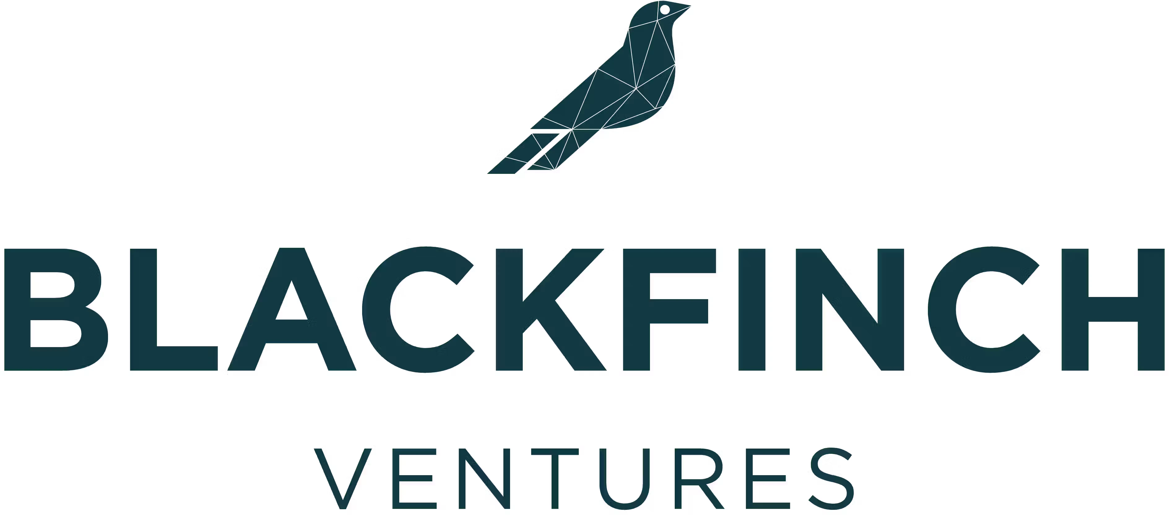 Blackfinch Ventures
